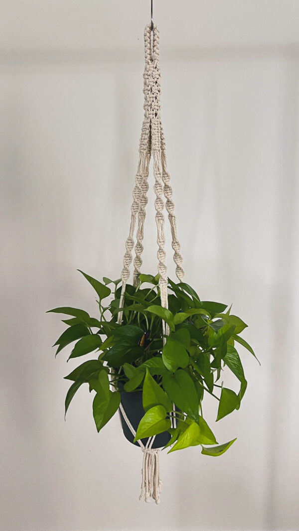 Vera • Macrame Plant Hanger | Boho Style - Image 10