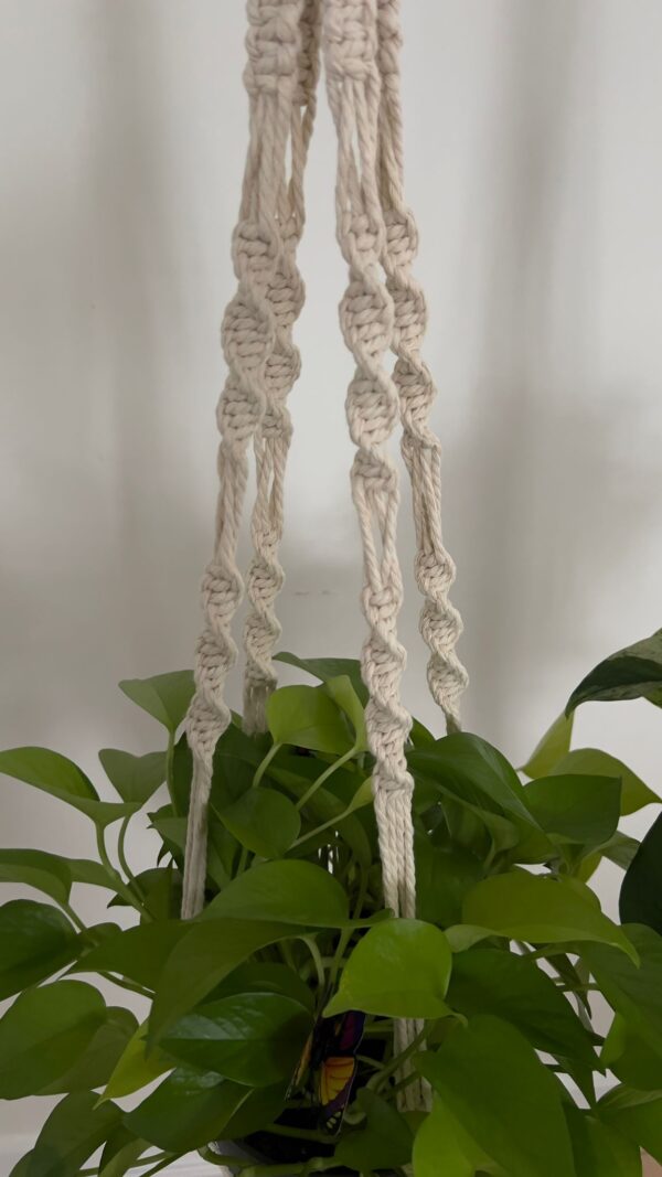 Vera • Macrame Plant Hanger | Boho Style - Image 8