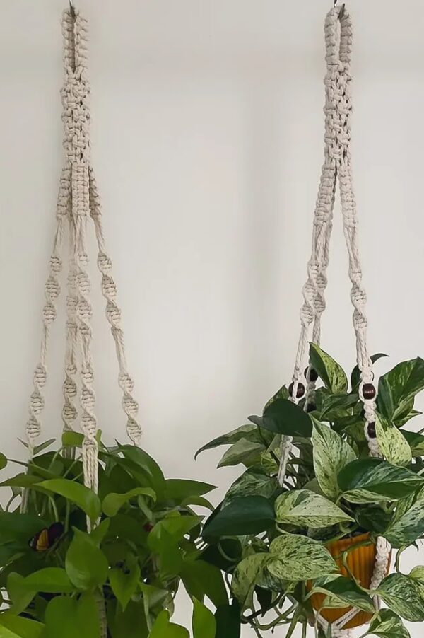 Vera • Macrame Plant Hanger | Boho Style