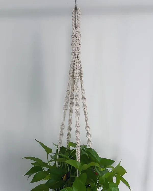 Vera • Macrame Plant Hanger | Boho Style - Image 3