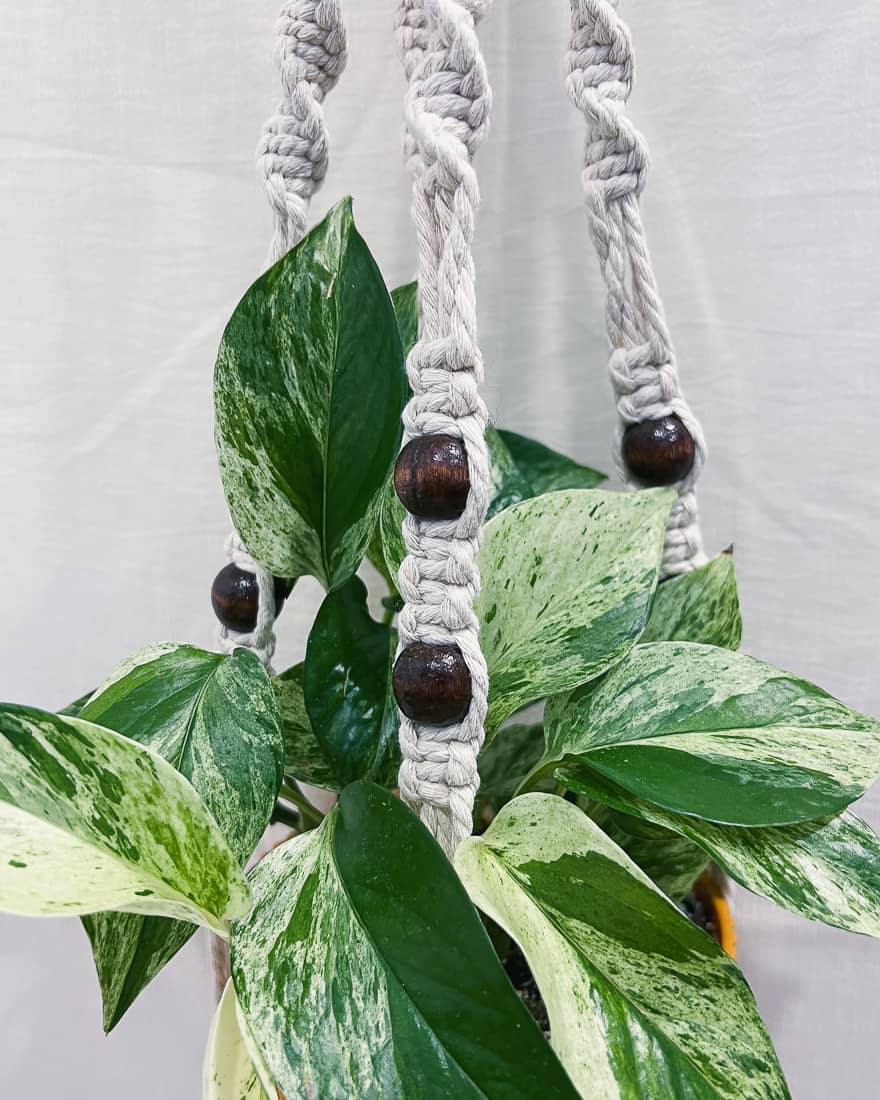Shop basico macrame